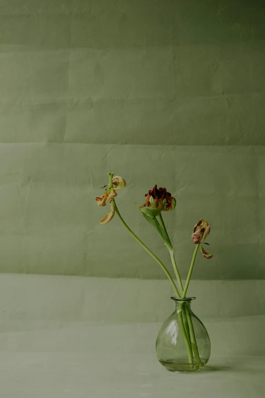 a vase with a single flower in it