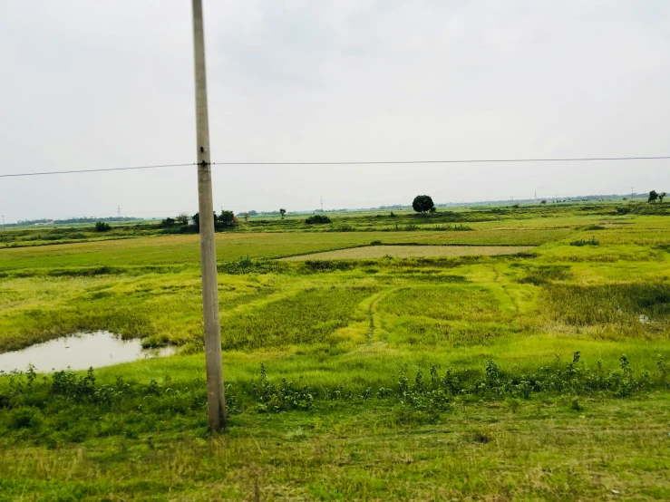 an open field with a telephone pole and dle