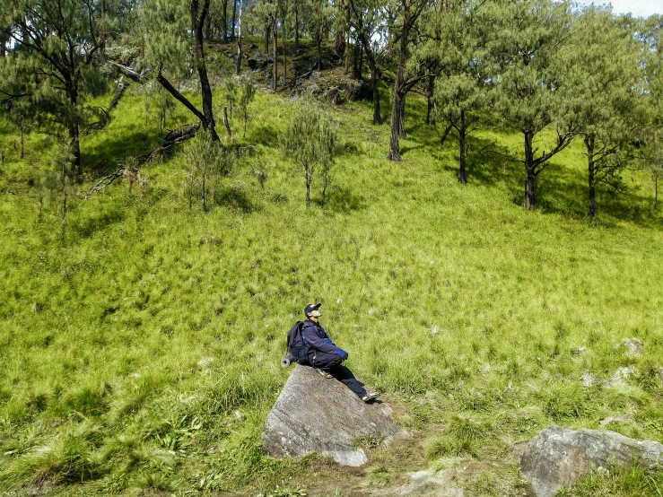 a person sits on a rock in the middle of a grassy hill