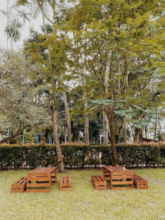 a park setting with benches in the middle of grass