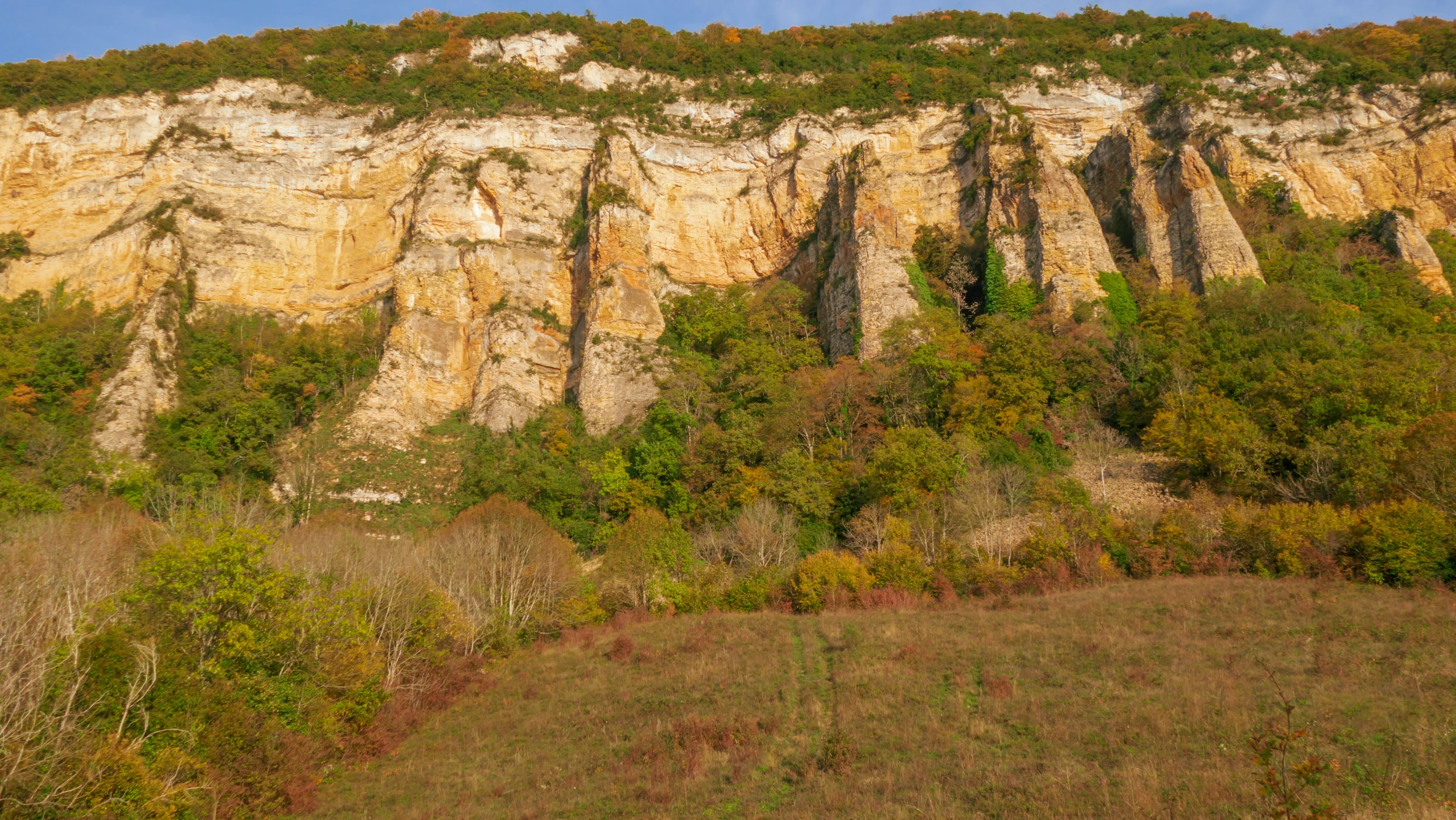 a mountain covered in lots of trees on a hill