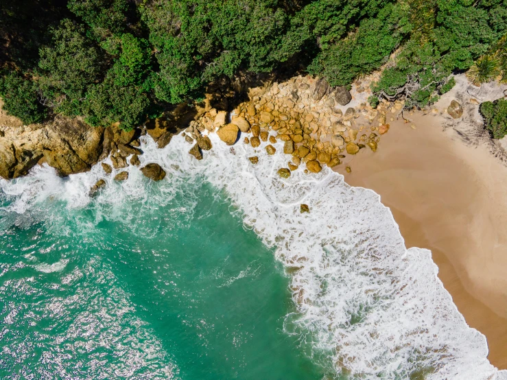 the water and shore from above are green