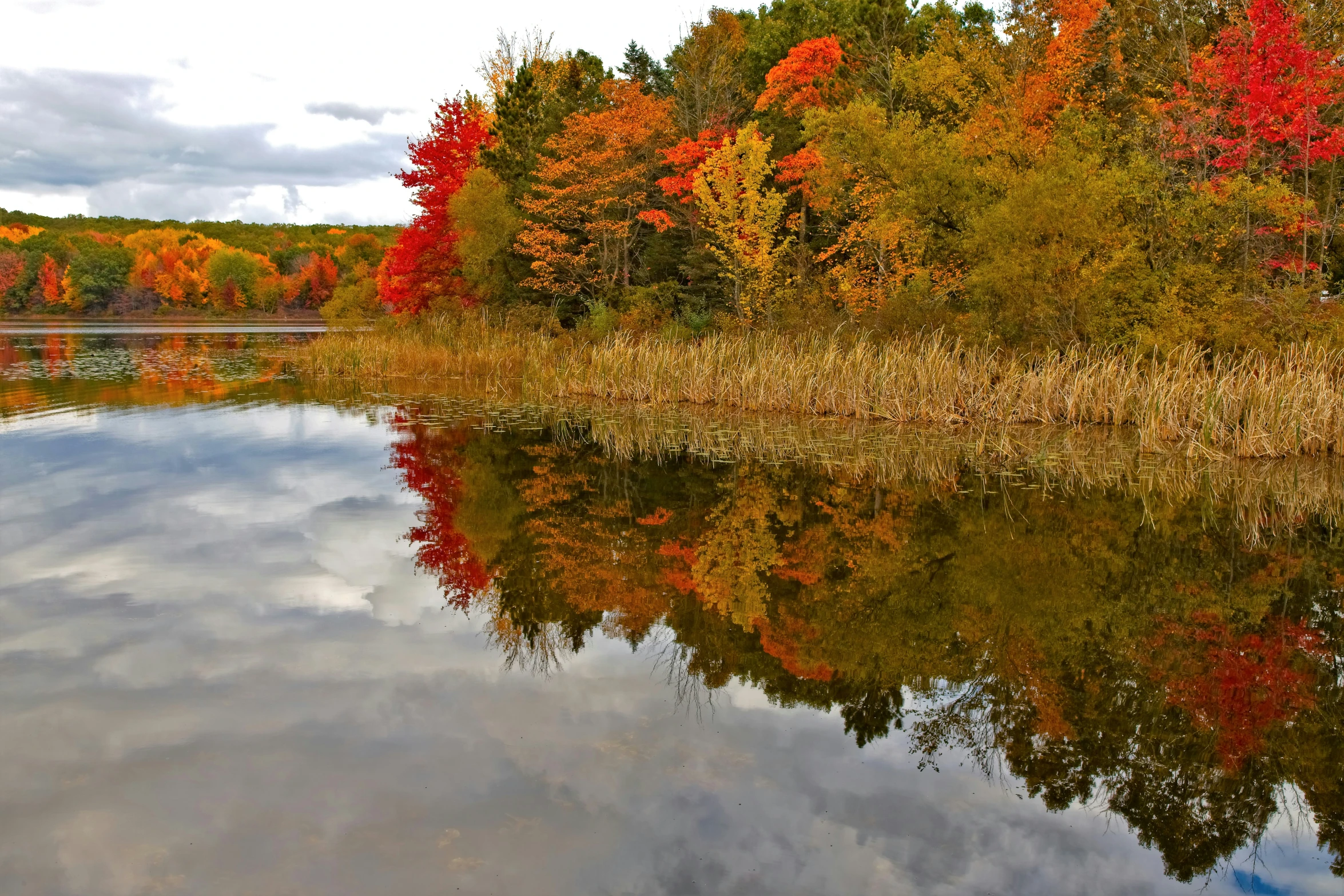 colorful trees line the edge of the water