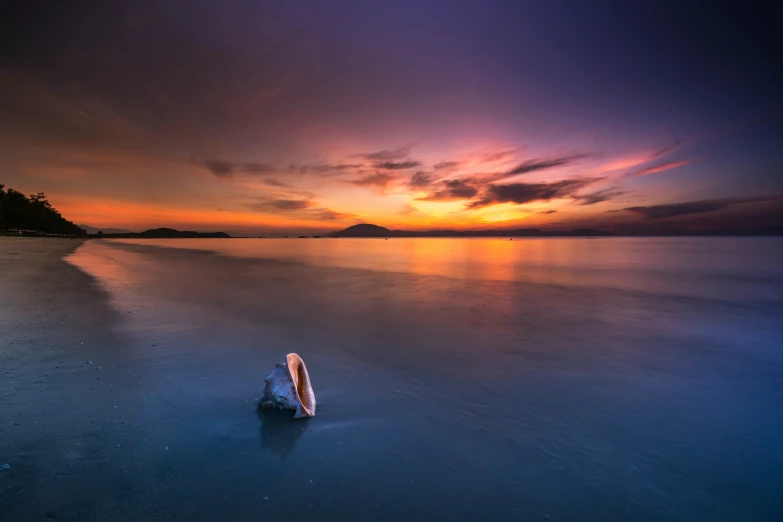 a boat that is sitting on the beach