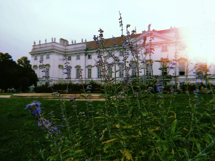 a building with flowers in front of it and the sun going down