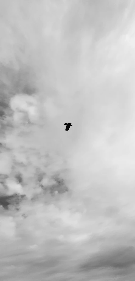 black and white pograph of an airplane flying in the sky