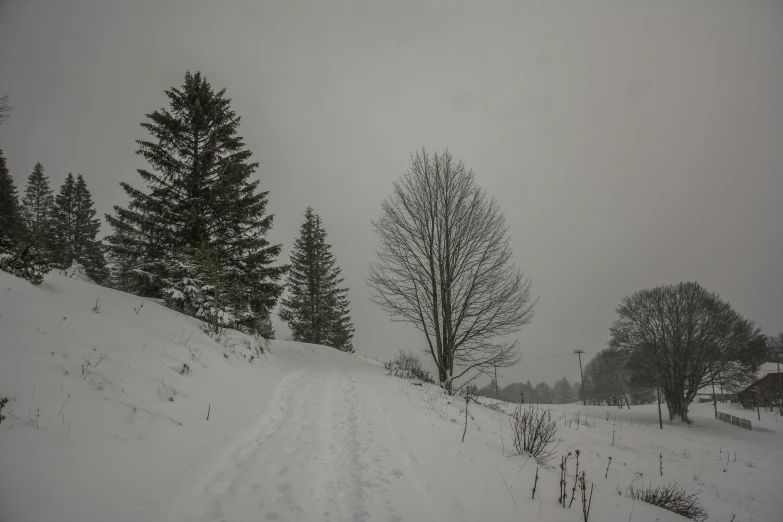 a snow covered field with some trees in the background