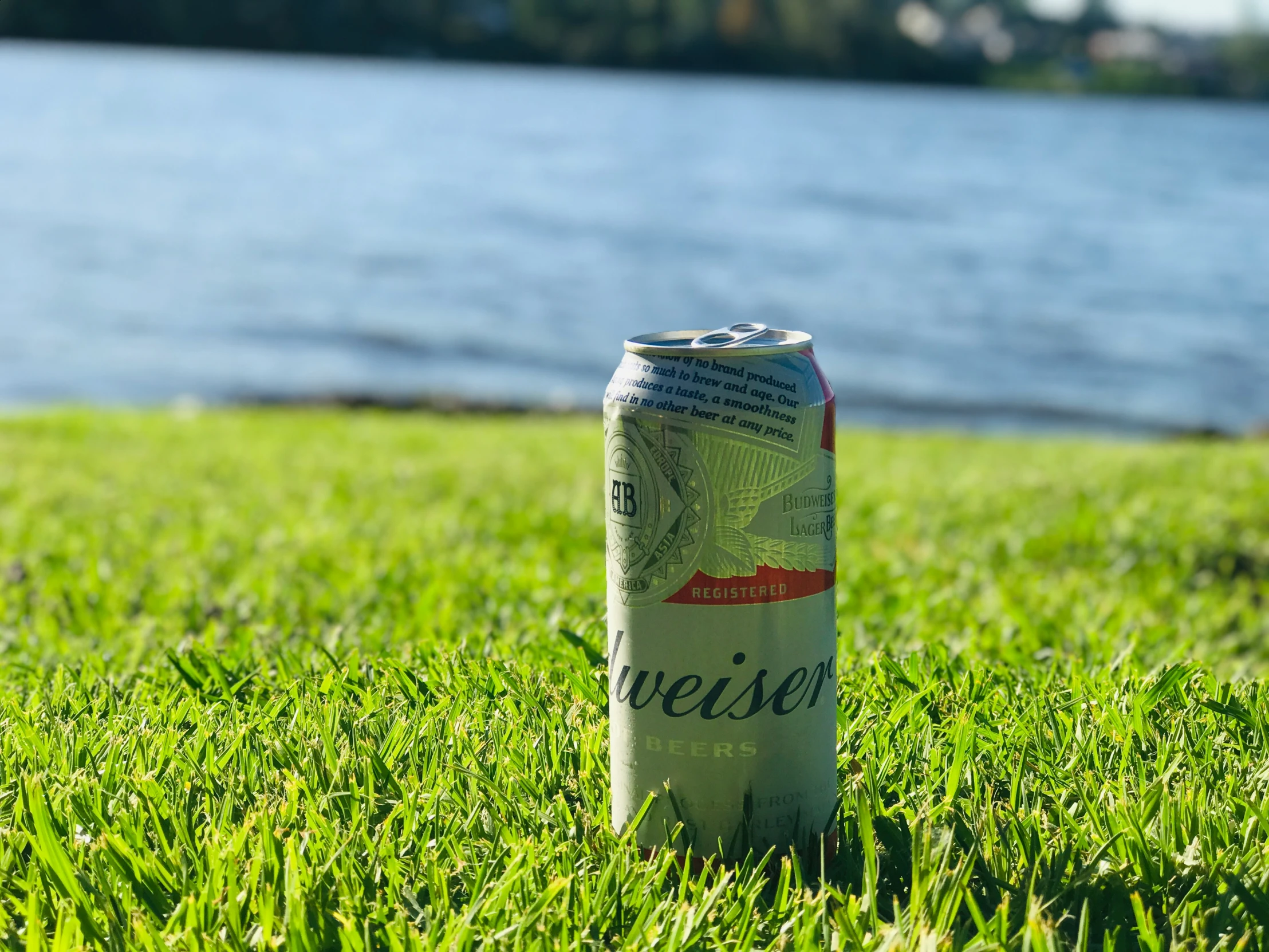 a can of drink sitting in the grass by a body of water