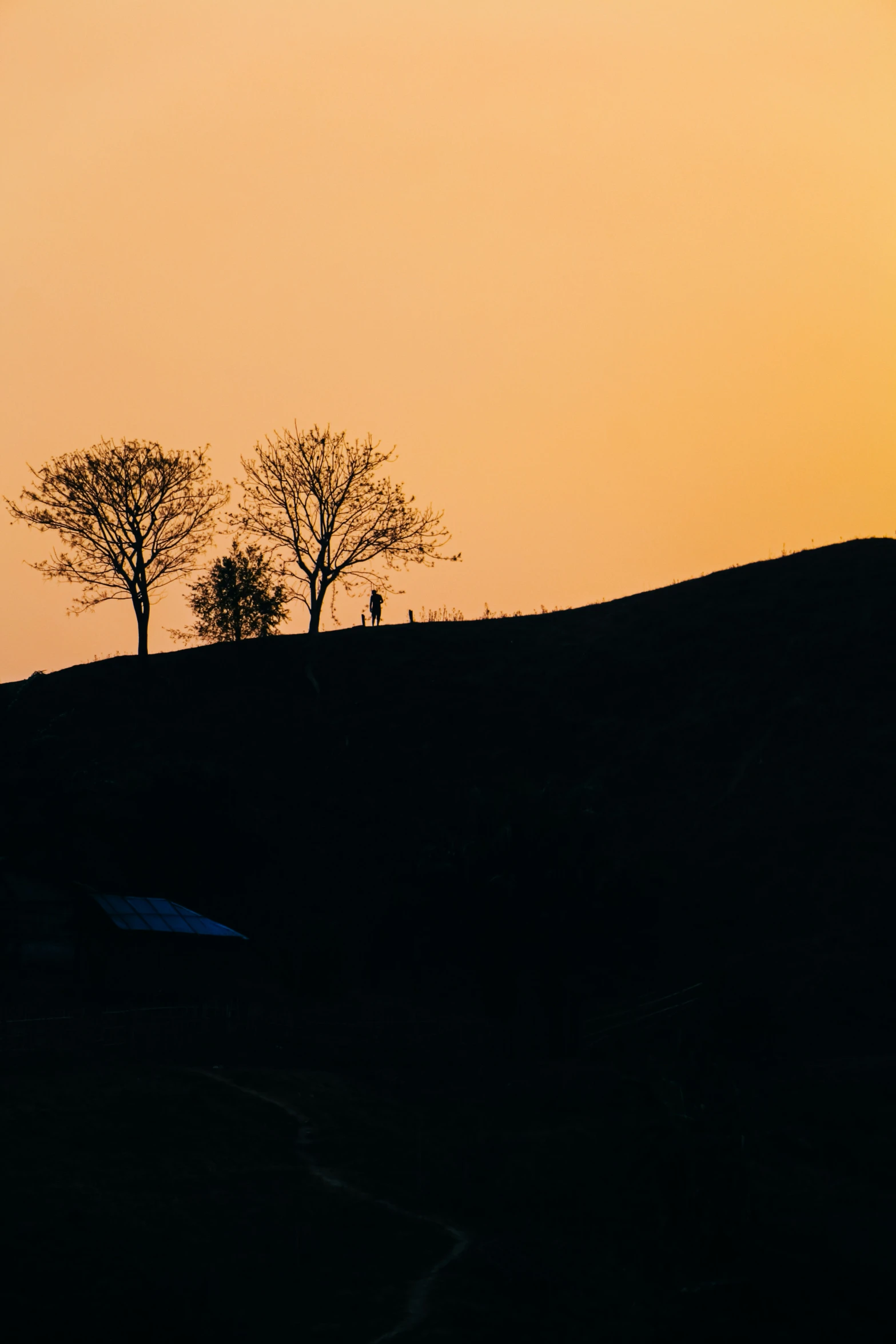 three silhouettes of trees on a hill at sunset