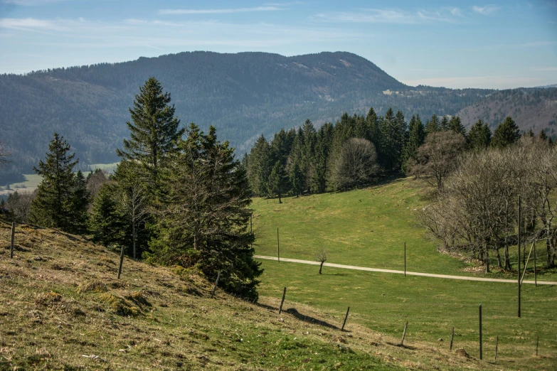 a path and road runs along a grassy hill side