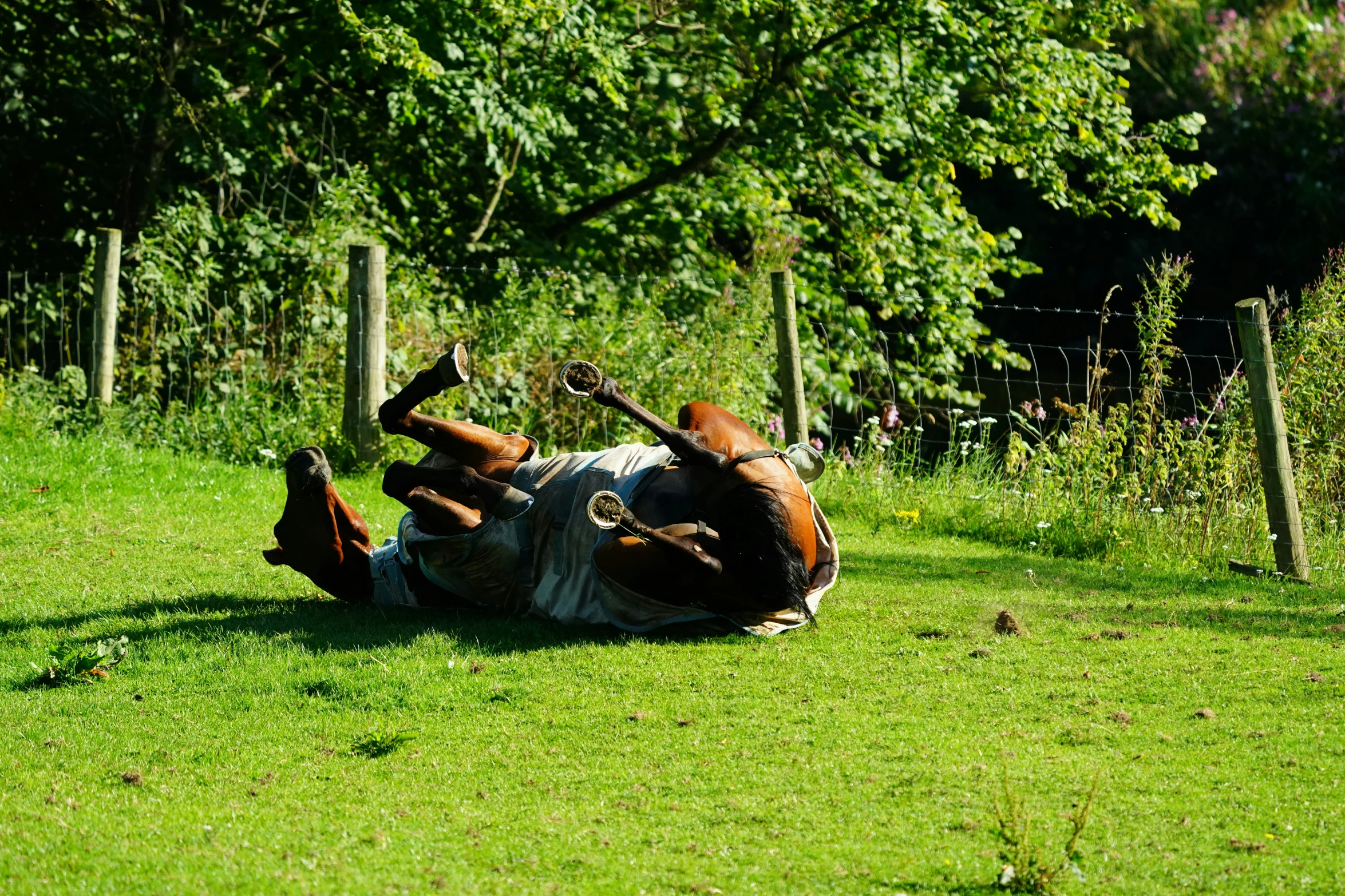 a man laying on the grass with his feet up