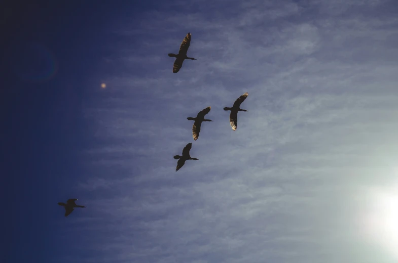 four planes in the air while a third plane flies overhead