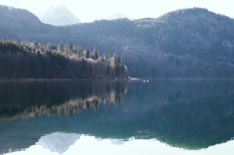 mountain view with a forest line and calm lake