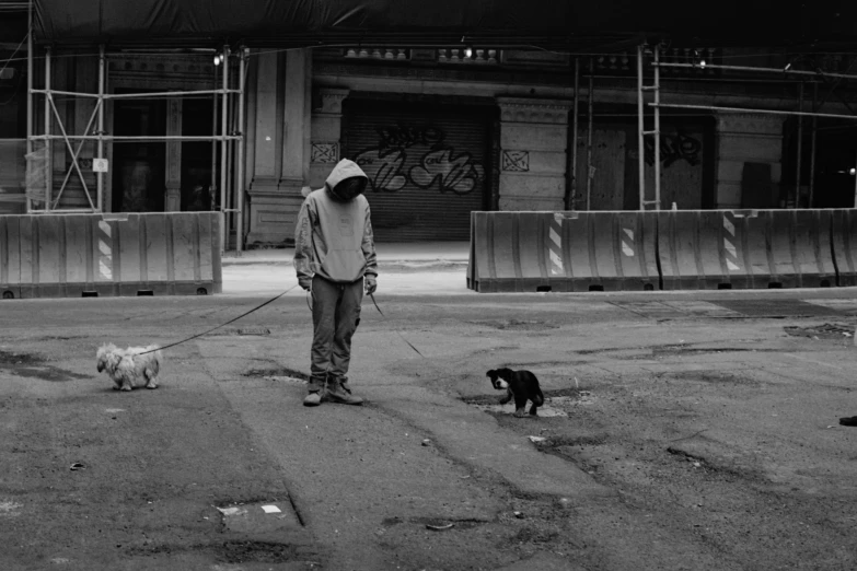 a man walking two dogs down a city street