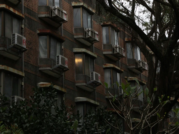 some windows and bushes against a brick building