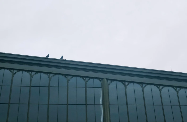 birds sit atop an upper level balcony with windows