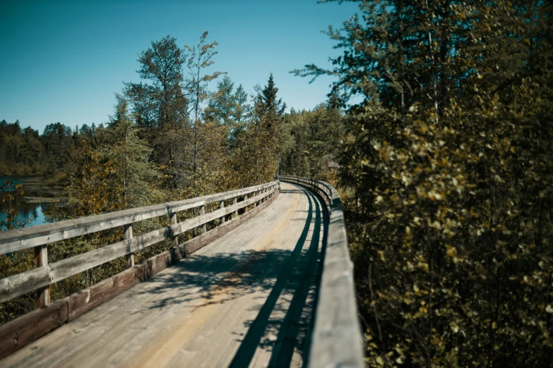 the shadows on the road cast a long, narrow path