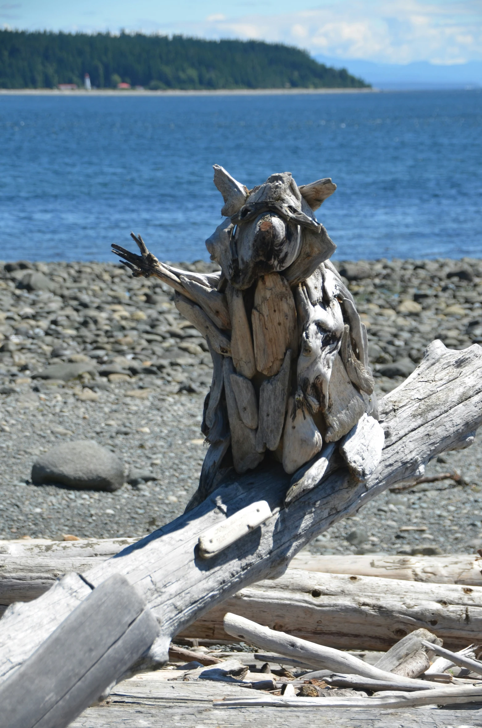 a close up of a nch laying on a beach