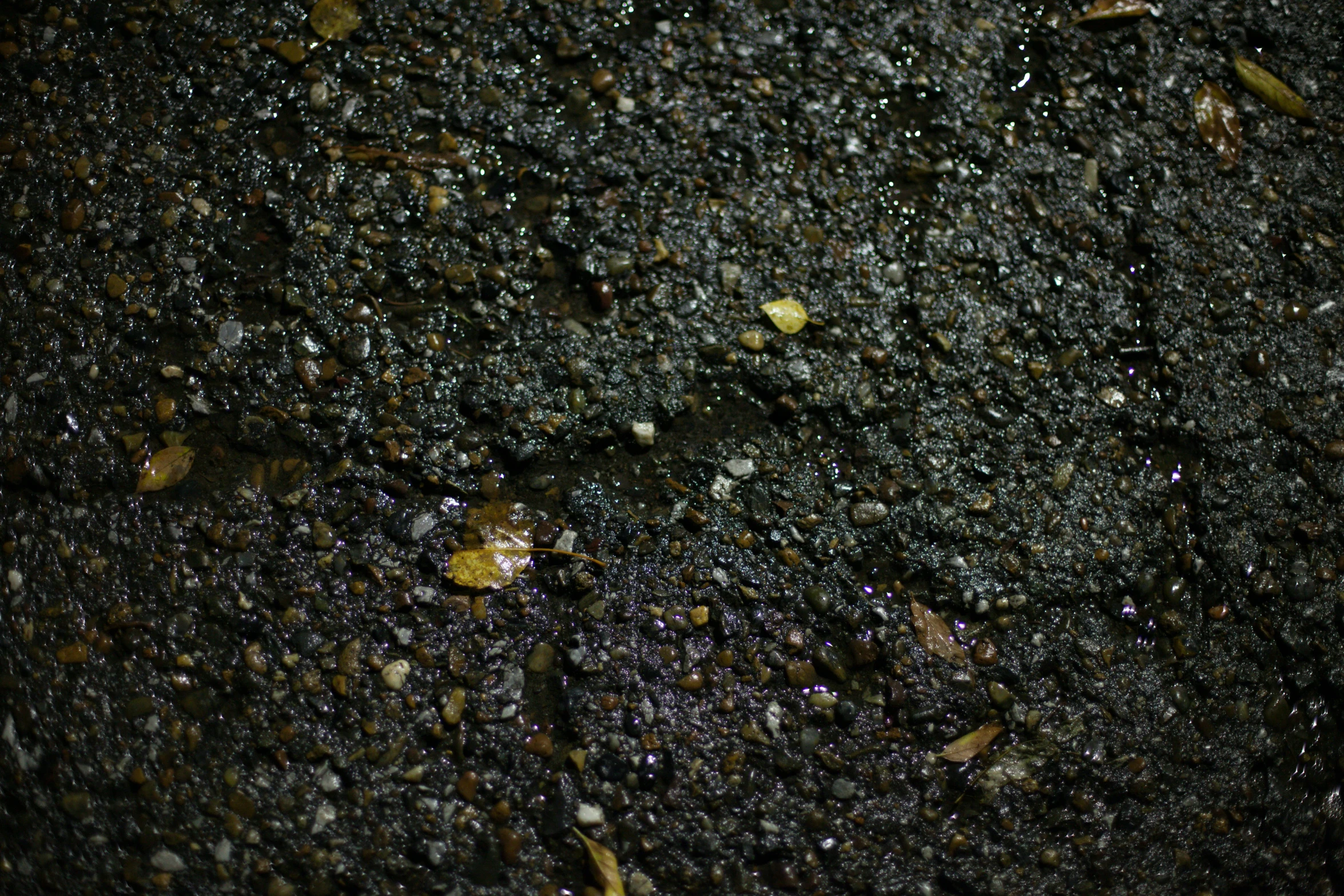 black gravel with dirt patches and plants sprinkled around