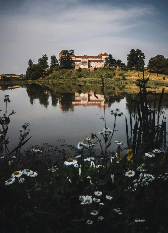 a house sits next to the lake with white daisies