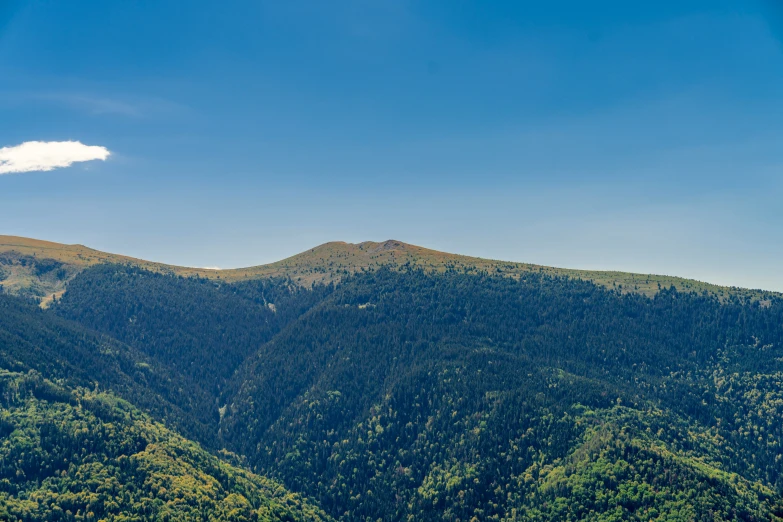 a scenic mountain range with many trees on top