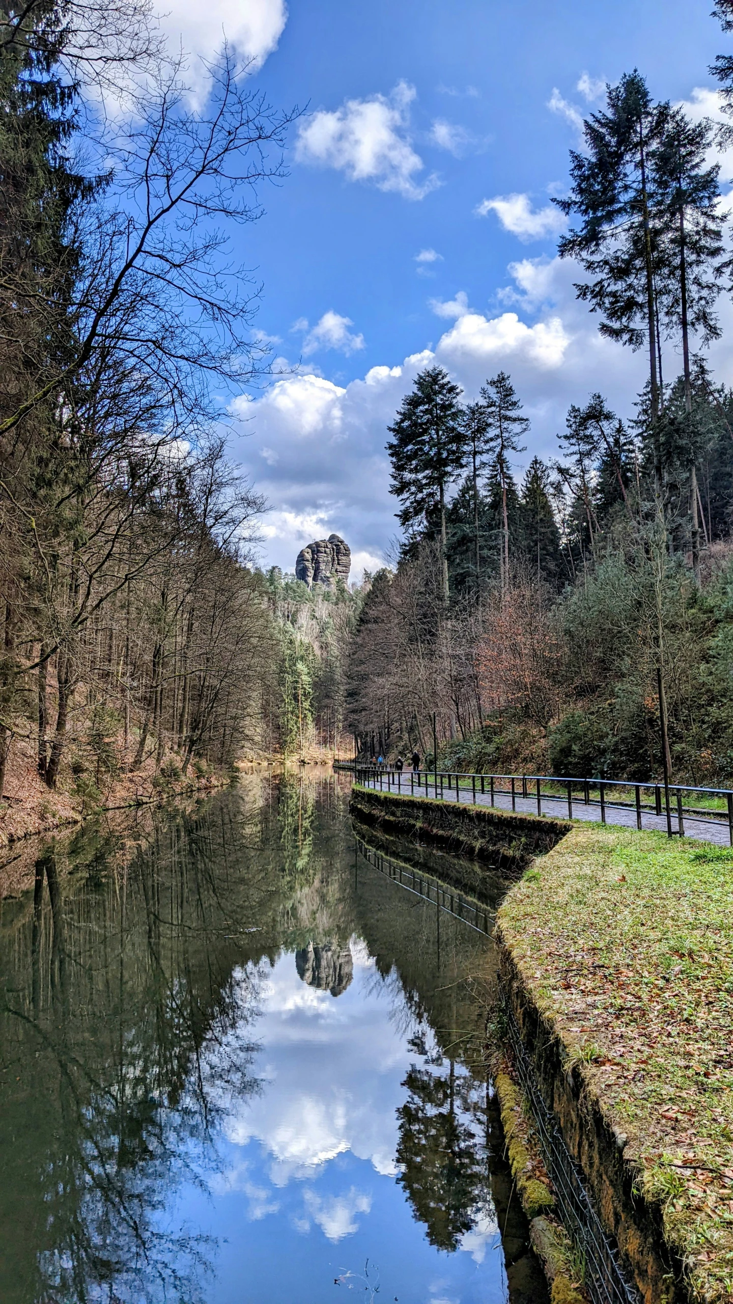 a river running between two sides of a forest