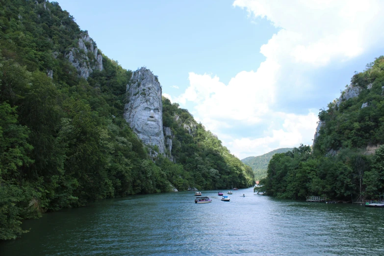 several people row their boat through a river in the forest