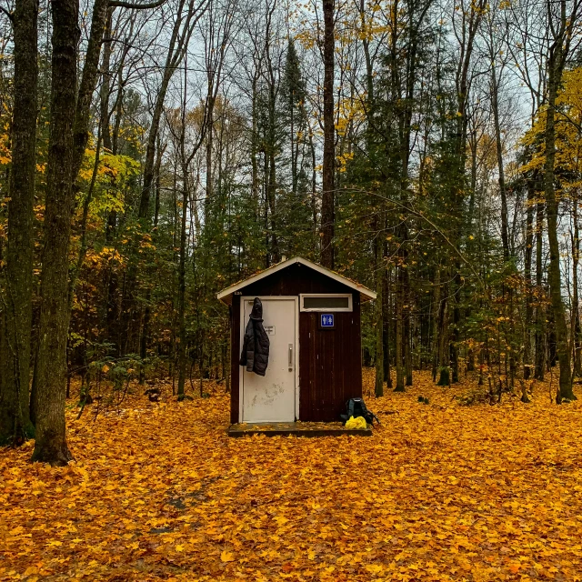 out house in the woods surrounded by foliage