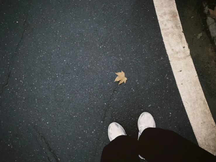 an image of someone standing in the middle of the road with a leaf on it