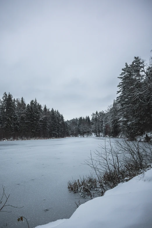 a frozen pond with some trees in the background