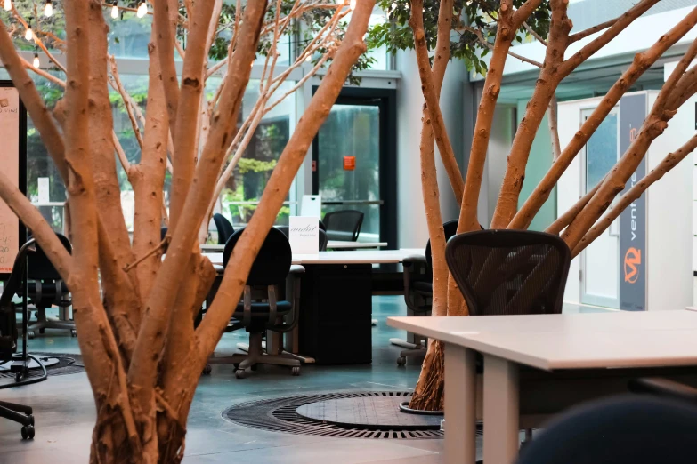 an office with tables and desks surrounded by fake trees