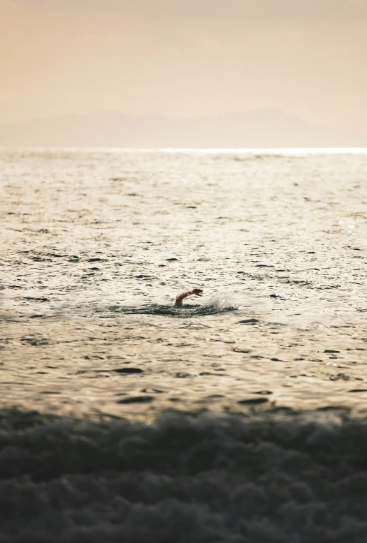 a person swimming in the ocean on a small wave