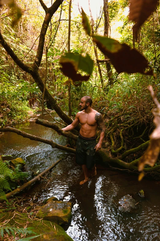 a man is standing in a shallow stream near some trees