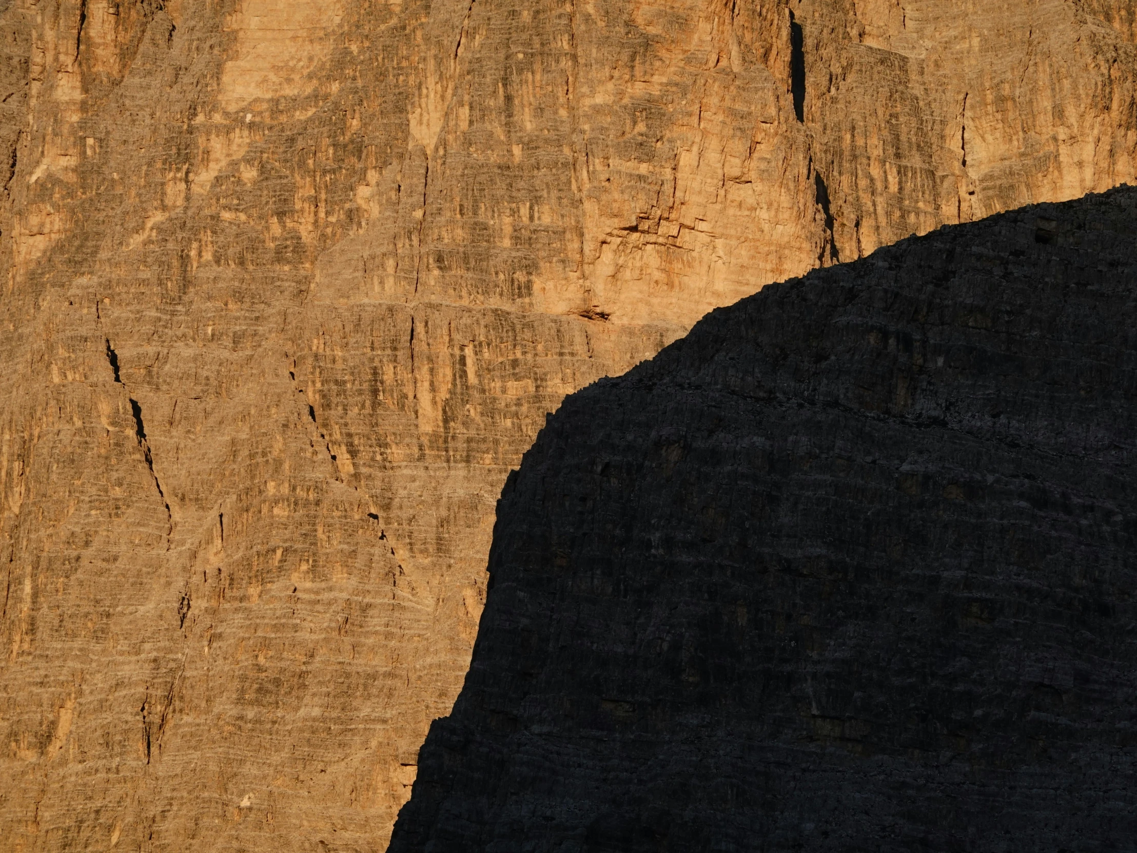 a bird flying in front of a rocky wall