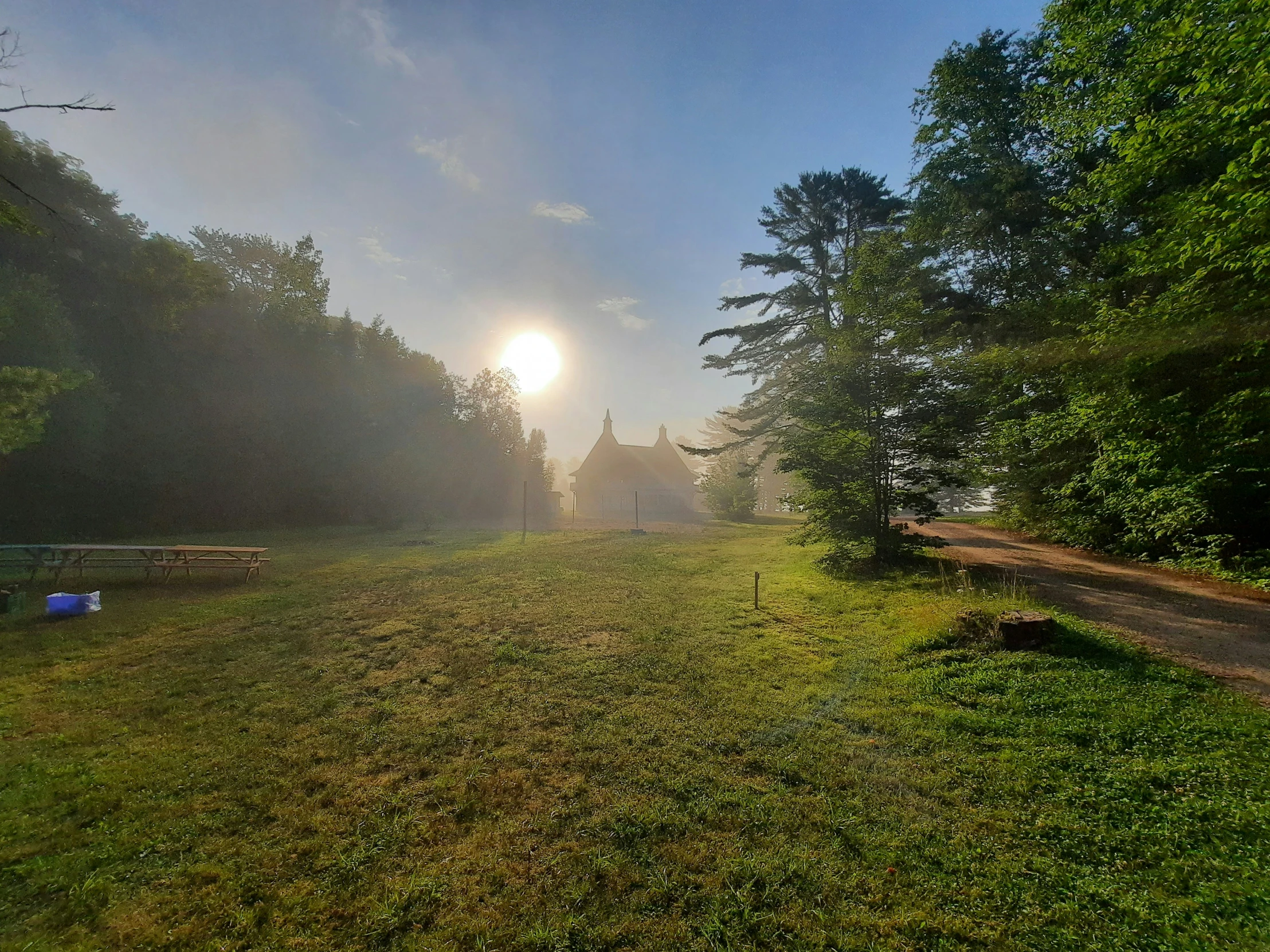 trees and benches in the middle of a field