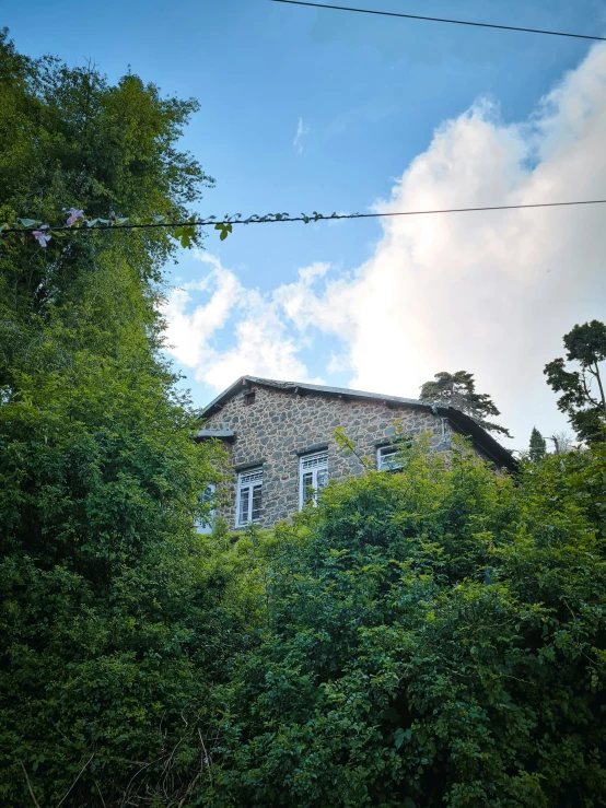 a building sitting among some bushes on the side of a hill