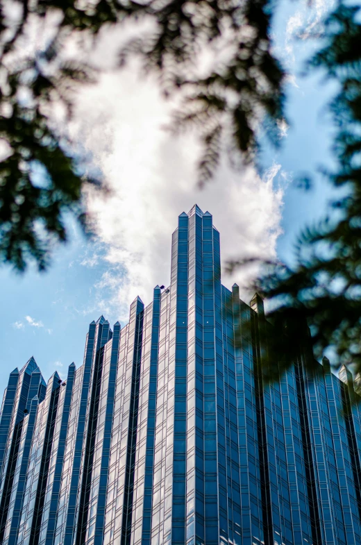 a building seen through the trees looking up