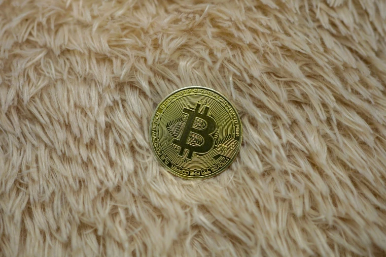 a bitcoin that is sitting on some furry material