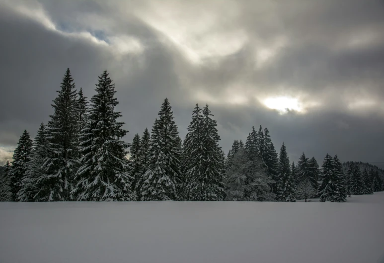 an open snow covered field near trees with a sky background