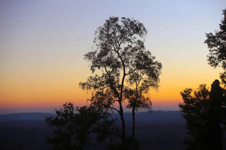 a woman looking over the horizon as the sun sets