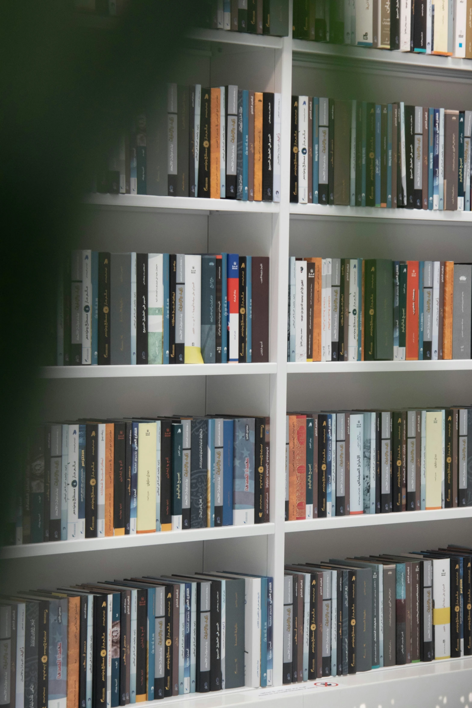 several rows of books sit on open white book shelves