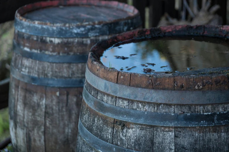 old wooden barrels have dles of water inside them