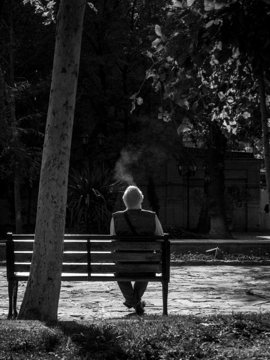 a man sits on a park bench in the shadow