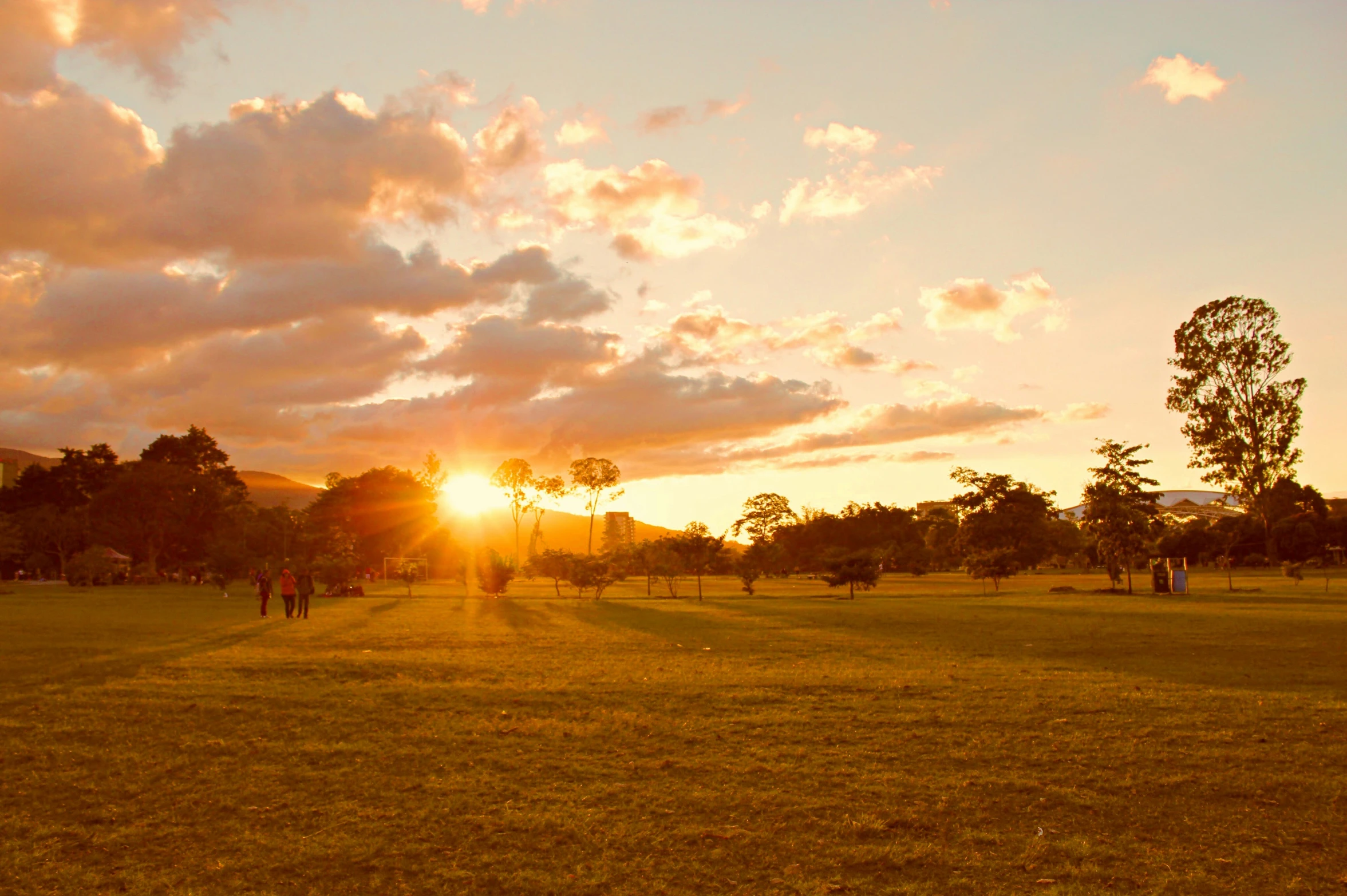 a group of people in a field with the sun setting in the background