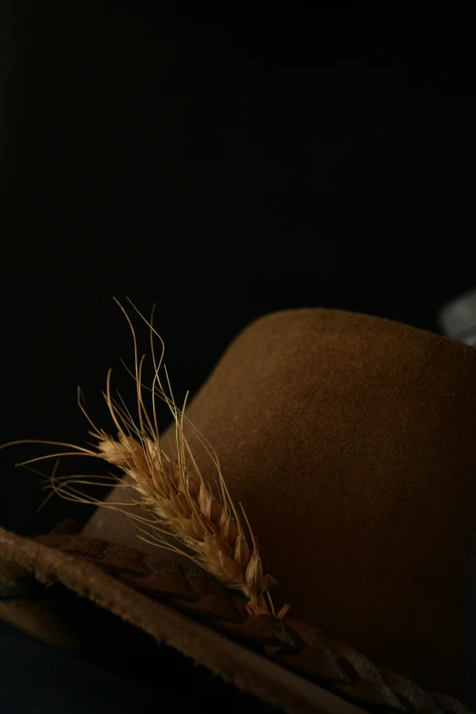 an outback hat with some brown feathers sticking from it