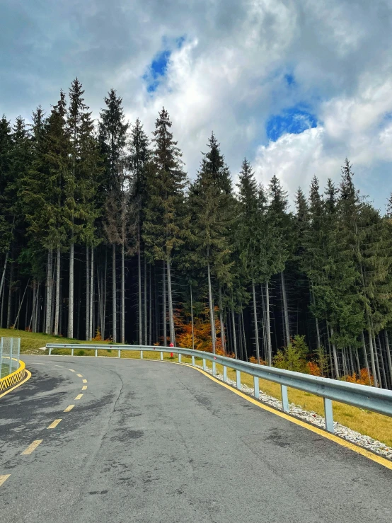 an empty road is surrounded by trees