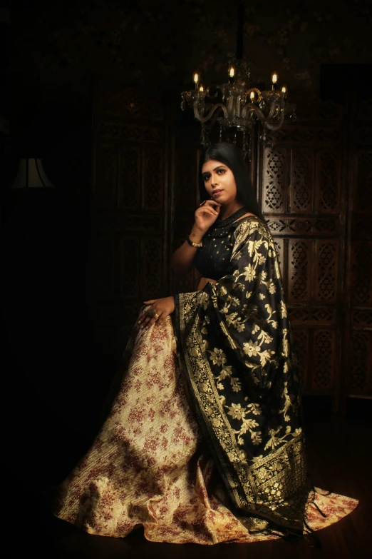 woman wearing a beautiful saree, holding a long skirt