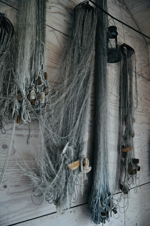 fishing nets with seaweed hanging from them