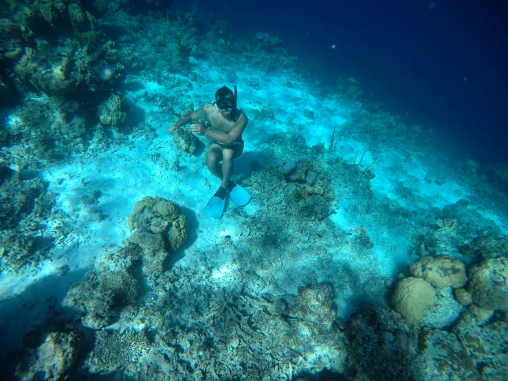 a man is diving over some fish under water