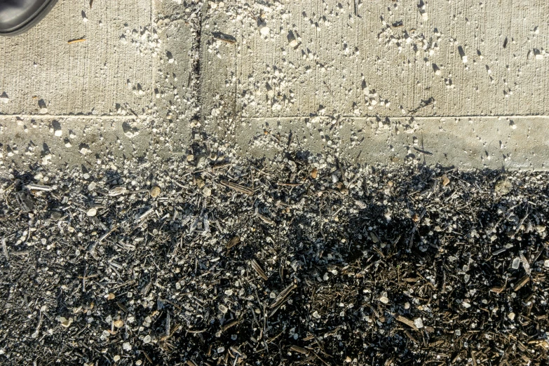 a bird standing next to an area with several patches on it